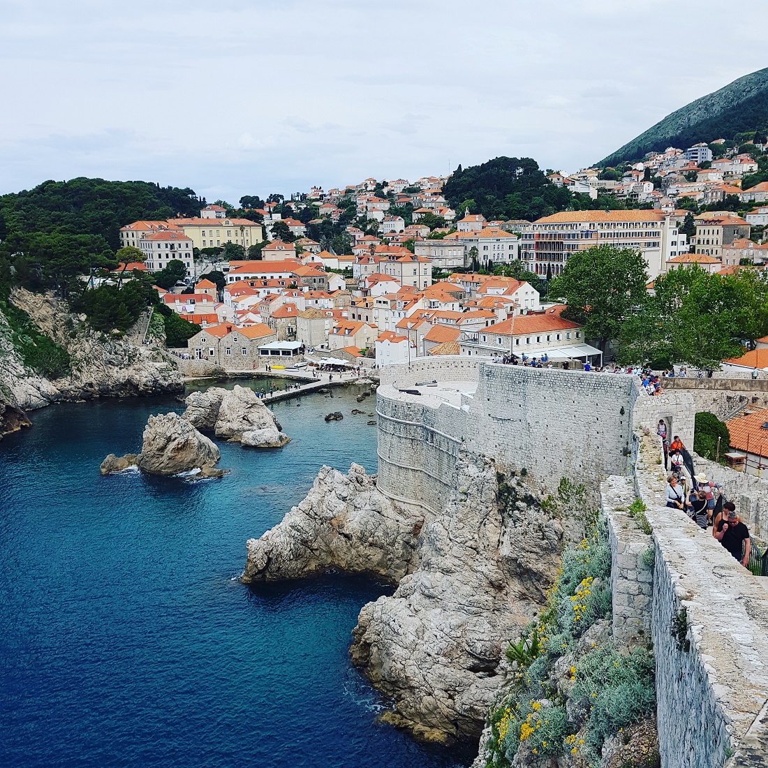 IMG_20190910_135817_942