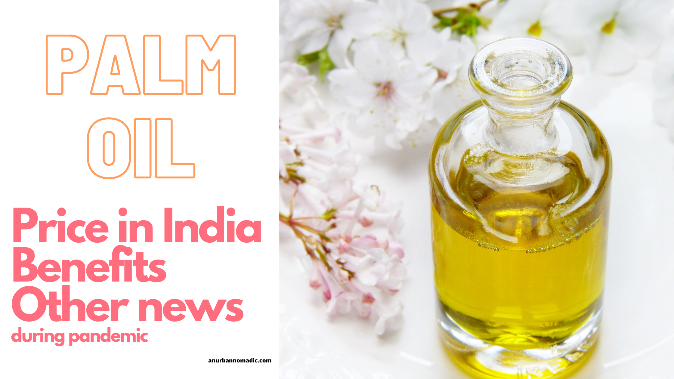 Palm Oil Price in India