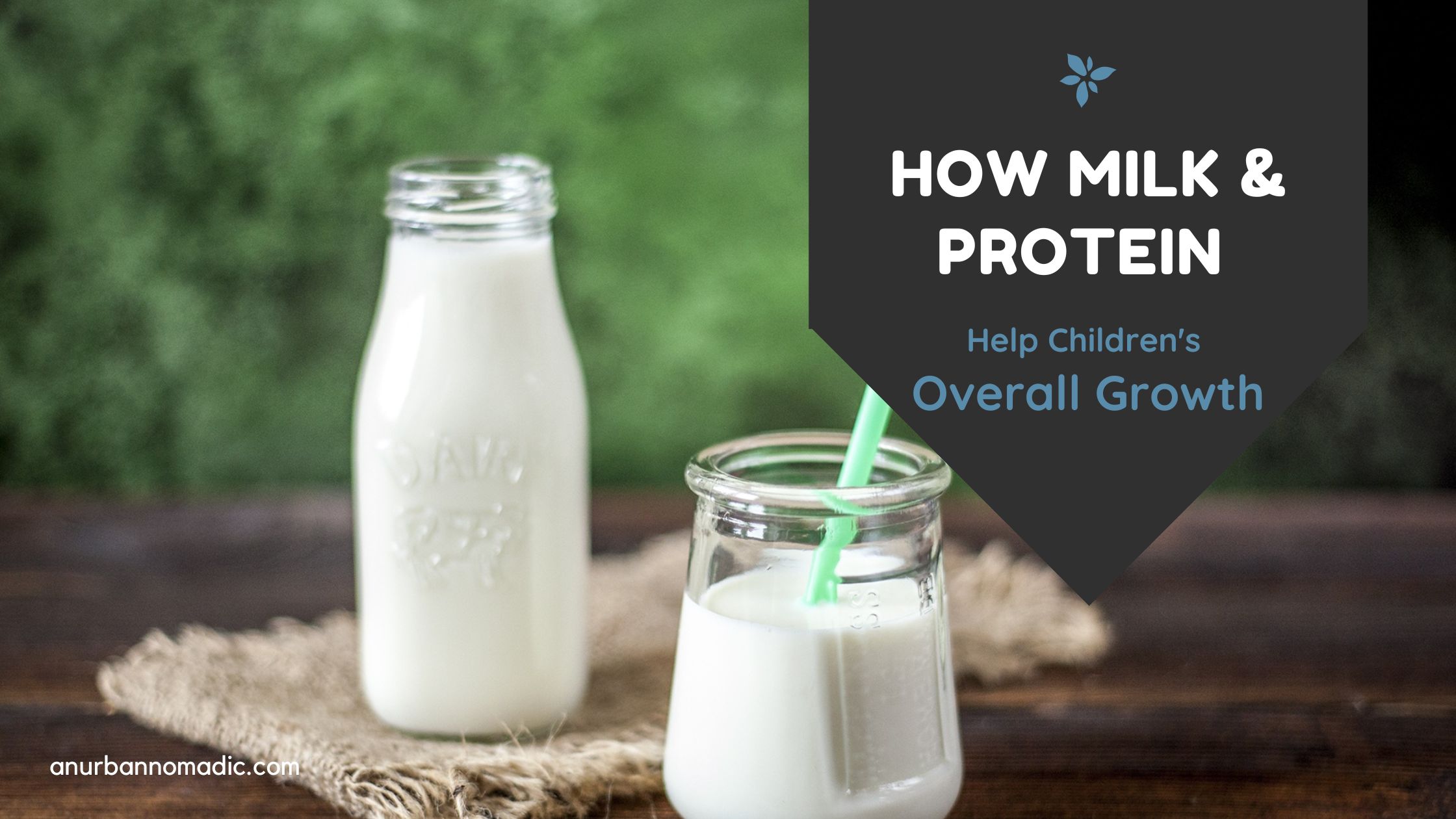 How does protein impact my child’s growth
